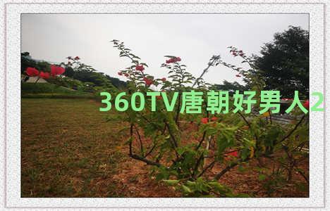 360TV唐朝好男人2
