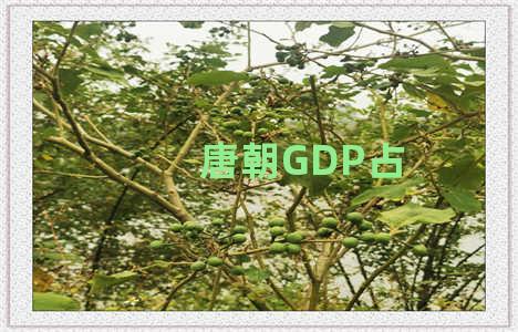 唐朝GDP占