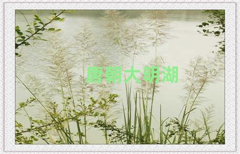 唐朝大明湖
